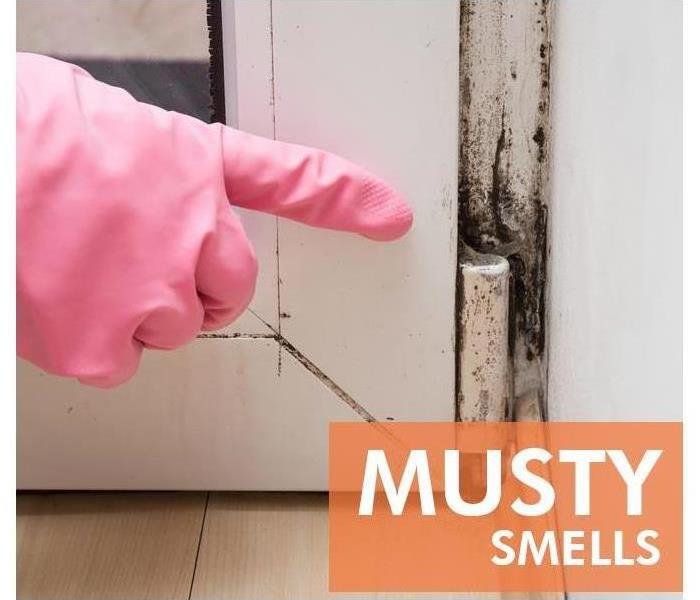 corner of door with mold growing. Hand with pink glove on pointing to mold. "musty smells" in orange box in bottom right 